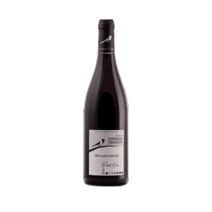Pinot Noir Bourgogne 2022
